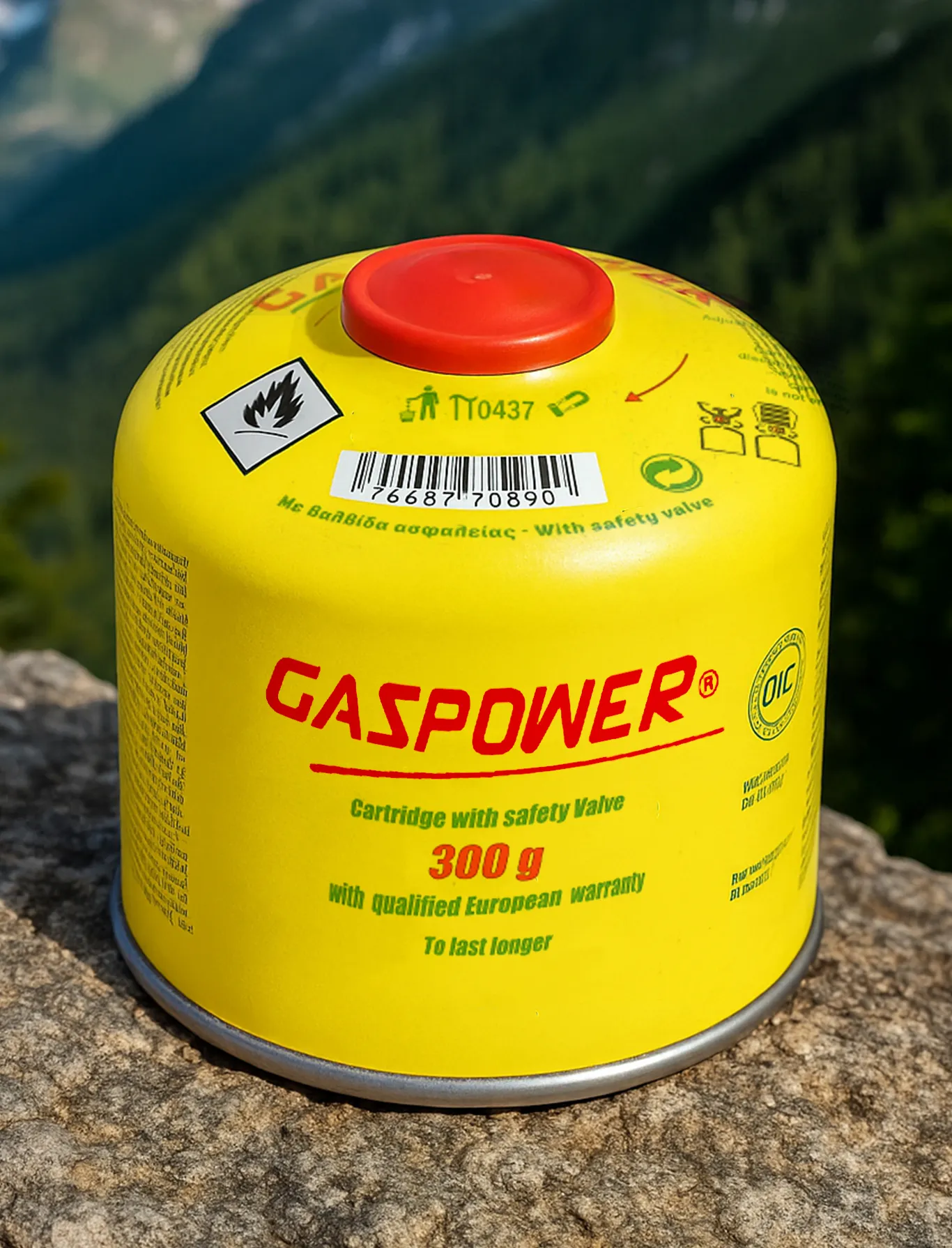 GASPOWER 300g