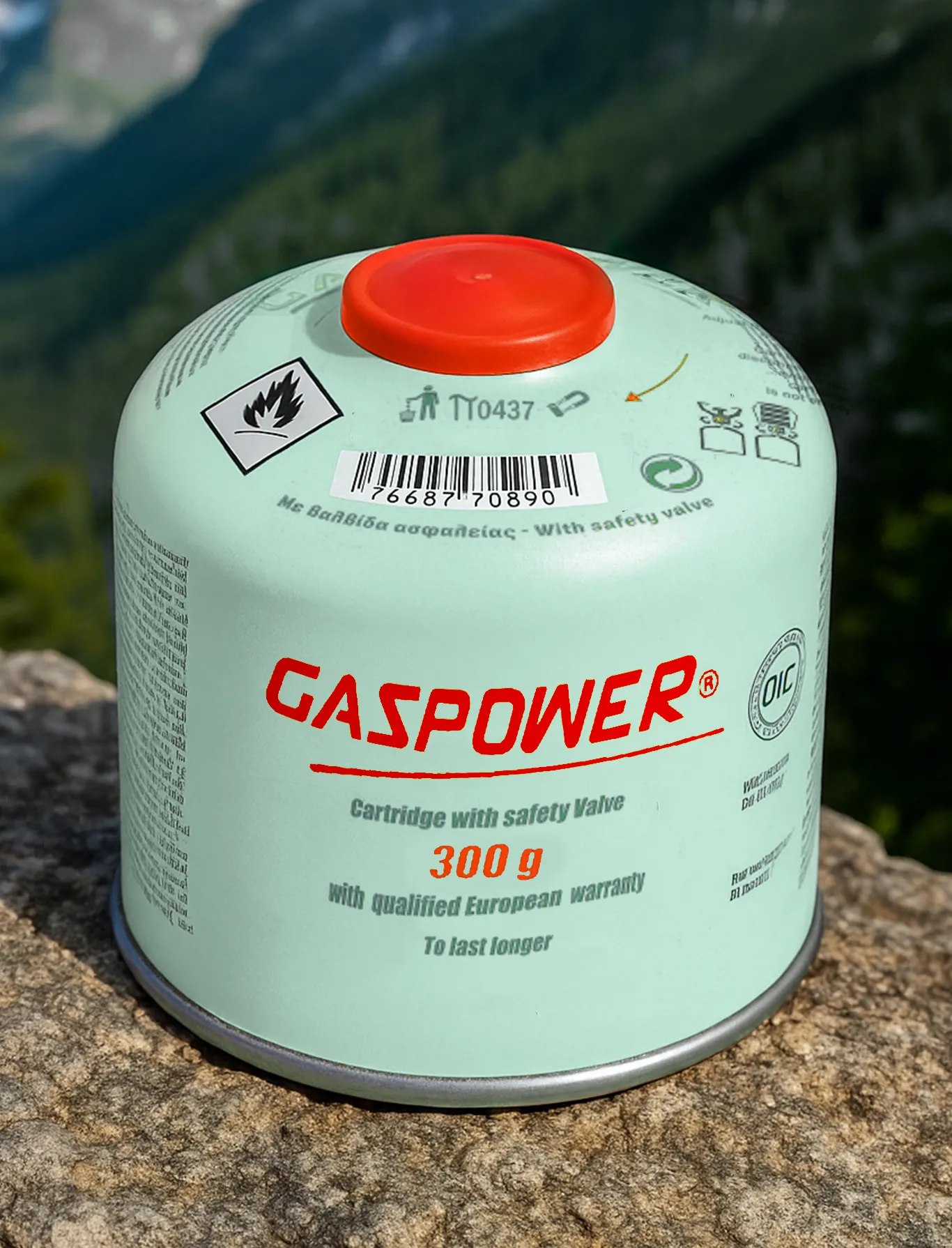 GASPOWER 300g